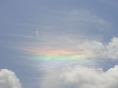 The Sun Shines Thru.....