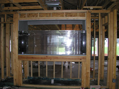 The tank is finaly here and in place... it is huge...