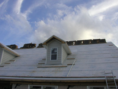 Vynil for the dormers...