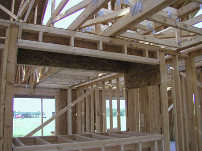 The finished tank viewing area...