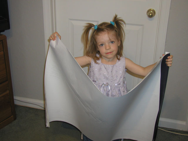 But Dad!!! I want a Pink Room!!!!