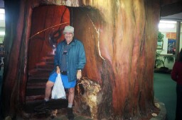 Kauri tree and Julius