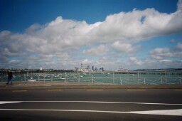 Auckland Sky Line with lots of Sail Boats