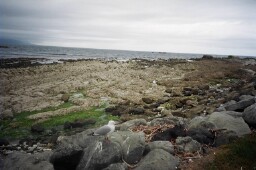 Kaikoura