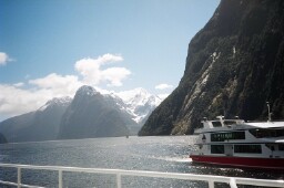 Milford Sound boats