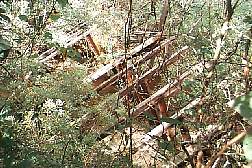 9a.jpg