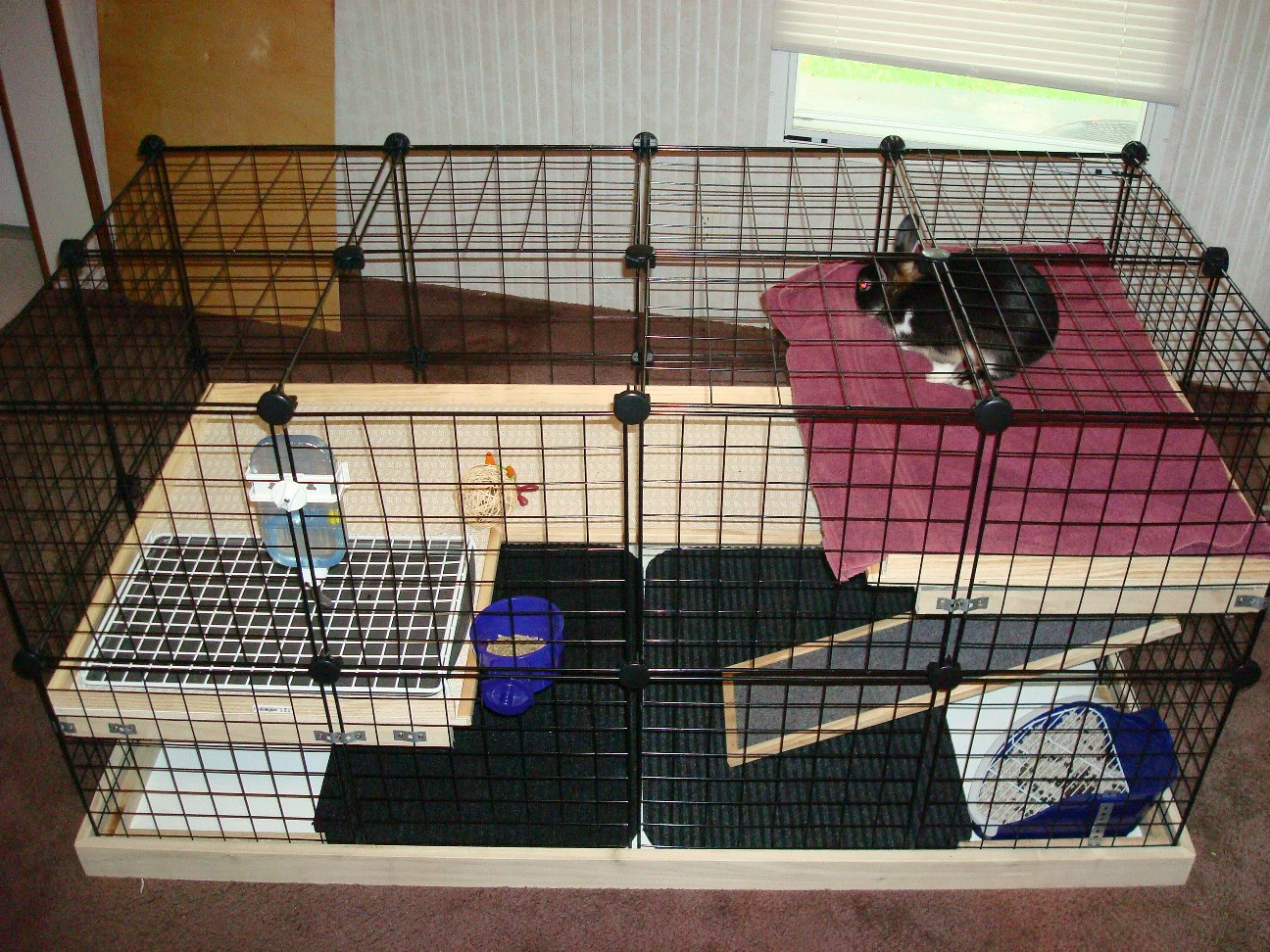 Do It Youself Indoor Bunny Cage