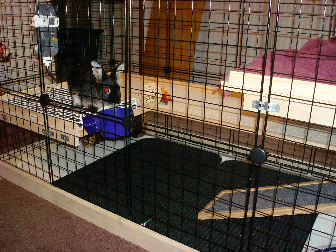 Do It Youself Indoor Bunny Cage