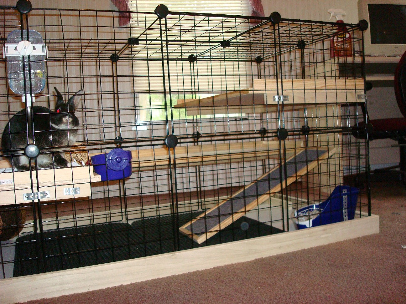 Do It Youself Indoor Bunny Cage